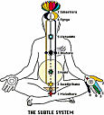 Kundalini Paths