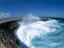 A giant bowl of fresh seawater