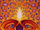 Alex Grey - One