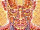 Alex Grey - Praying