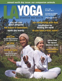 LA Yoga magazine front cover.