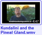 pineal gland video link